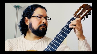 Platerías, Gerardo Taméz - Ricardo Saeb, guitar
