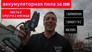 аккумуляторная пила спустя 3 месяца