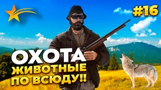 НОВИЧОК НА GTA 5 RP С НУЛЯ, 25К ЗА 15 МИН НА ОХОТЕ, ОТМАТАЛ СРОК В КПЗ, PROMO - taxi