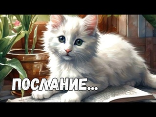 💃🔥ЧТО ВАМ ЖЕЛАЮТ СКАЗАТЬ ДУХИ РОДА ⁉️#ОРАКУЛ