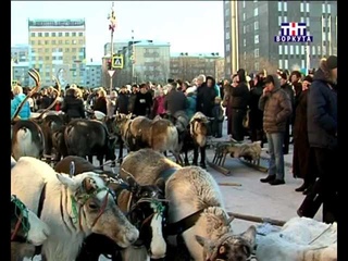 Воркута. День оленевода