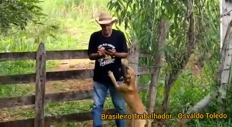 Brasileiro