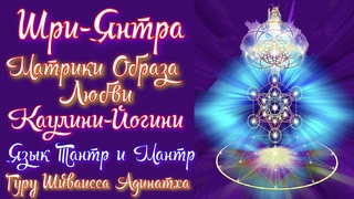Матрики образа любви Шриянтры, Каулини йогини - язык янтр и мантр. Гуру Шиваисса Адинатха
