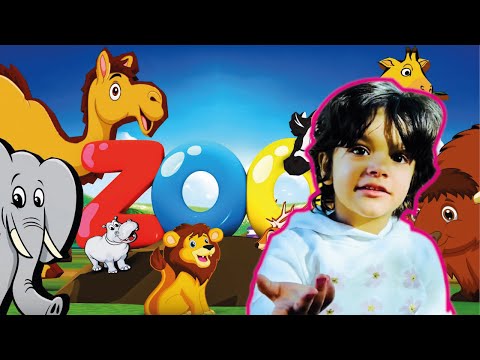 Nooni Looli at zoo, , zoo
