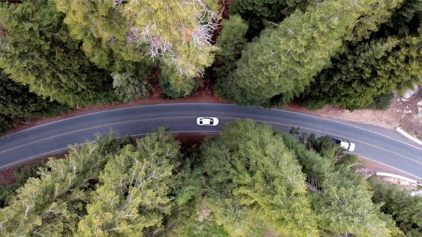 Yosemite and Sequoia national