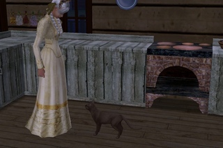 The Sims 2. Play with cat