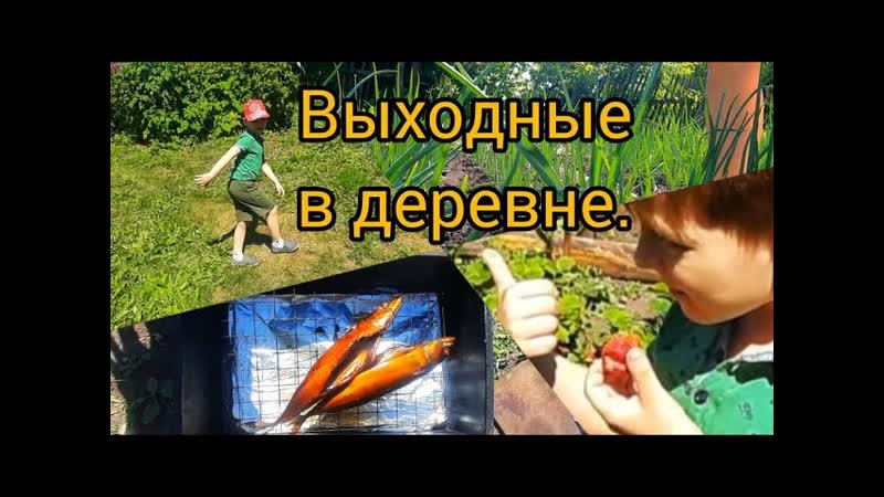 ДЕРЕВЕНСКАЯ ЖИЗНЬ: Наши выходные в кругу семьи. СКУЧАТЬ НЕ