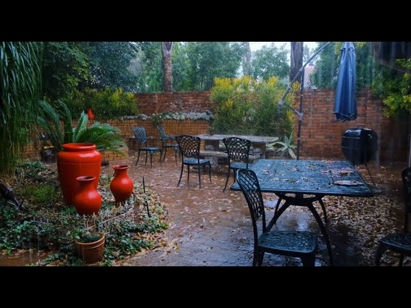 Heavy Light Rain Thunder Bird and Crickets Sounds in Backyard Perfect for Sleep, Relaxation,