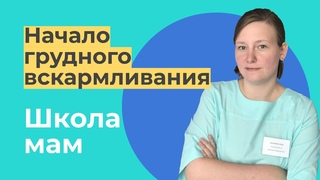 Начало грудного вскармливания / Анна Булыгина