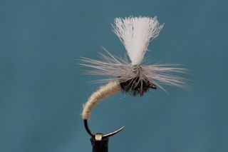 Klinkhamer