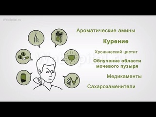 Рак мочевого пузыря.  Причины и симптомы