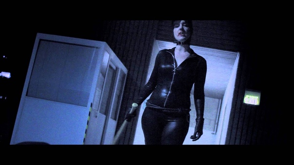 Catwoman Fan