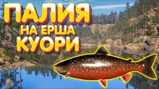 Палия на Ерша | оз. Куори | Русская Рыбалка 4