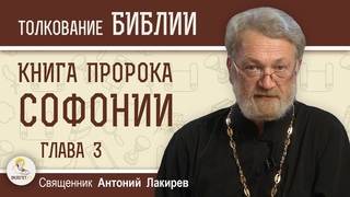 Книга пророка Софонии. Глава 3. Культура тщеславия и бесстыдства  Священник Антоний Лакирев