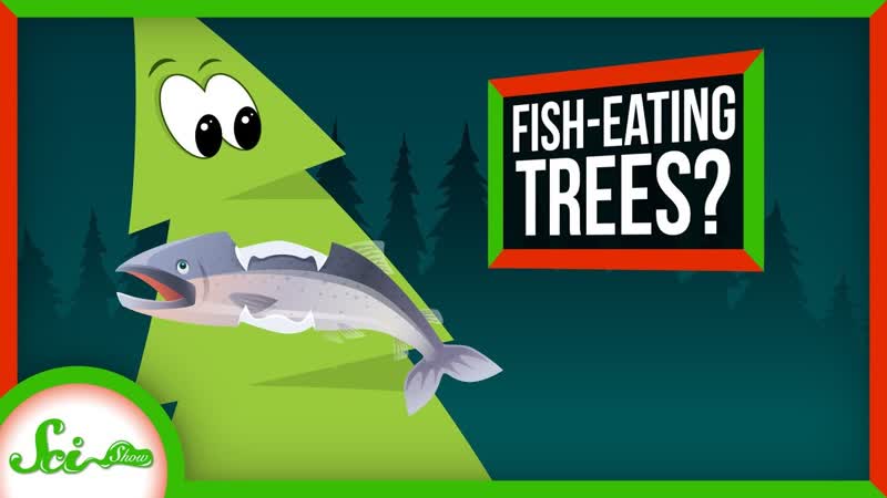 These Trees Eat