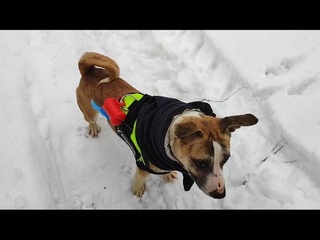 Привет от Виолы Горбушкиной)))