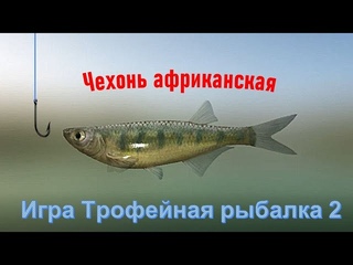 Чехонь африканская 64 грамма, игра Трофейная рыбалка 2