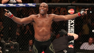 Рекордсмены по количеству финишей в UFC