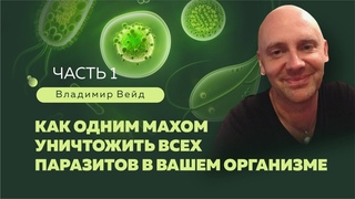В.ВЕЙД  Как одним махом уничтожить всех паразитов в вашем организме