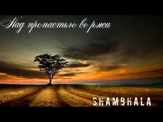 shambhala - над пропастью во ржи (The Catcher in the Rye)