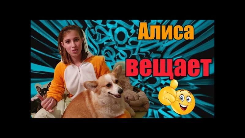 Надо разговаривать с детьми, ,Слушаем Алису со Стешей, ,Что