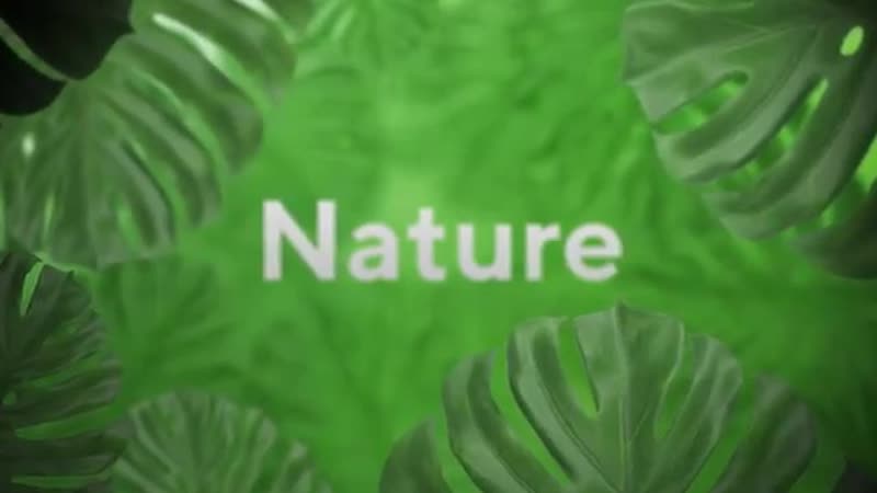 NATUR гостинная в стиле