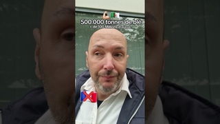 🇨🇵🇩🇿 L’Algérie exclut la France d’un appel d’offre pour  tonnes de blé.