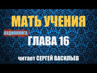 Мать учения - Гл.16 - Нам нужно поговорить (аудиокнига Васильев С.)