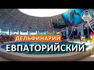ЕВПАТОРИЯ ГОРОД ДЕТСТВА. ДЕЛЬФИНАРИЙ В ЕВПАТОРИИ. КАПИТАН КРЫМ
