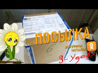 Посылка с луковичными из Волгограда от Жмуриной Н.