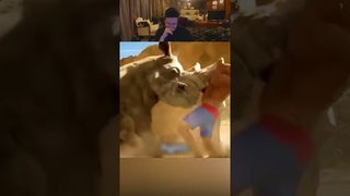 Парень Который Не Боится Акул 😱🔥