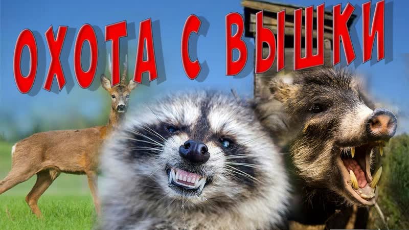 Охота с тепловизором i Ray. Кабан, Косуля и Енот Hunting with thermal