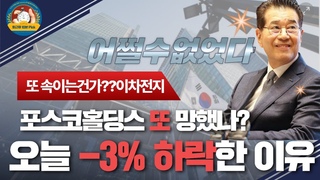 포스코홀딩스 오늘 음봉캔들 -3% 하락 할 수 밖에 없었다 그 이유는?