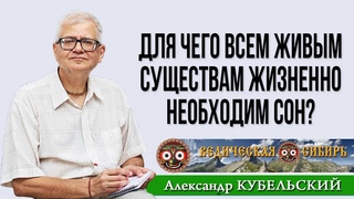 Для чего всем живым существам жизненно необходим сон