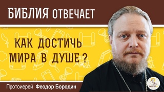 Как достичь мира в душе  Библия отвечает. Протоиерей Феодор Бородин
