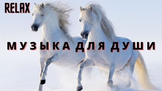 Красивая Музыка Для Души! // Красивые Лошади// Это невероятно красивые треки!!!