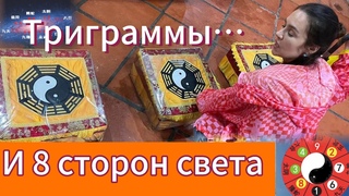 В поисках гармонии. Восемь сторон света. Теория Тайцзи. Дарья Патока.