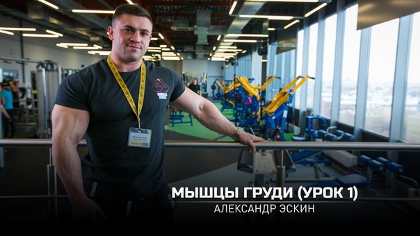 Мышцы груди (Урок 1). Александр Эскин (eng subtitles) vsiws uhelb (ehjr 1).