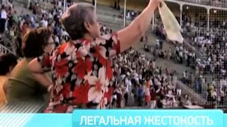 Инфомания. Выпуск 205