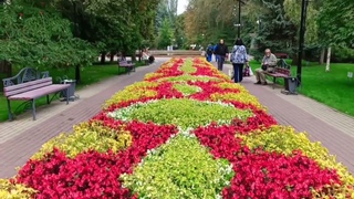 прогулка в городе где я живу