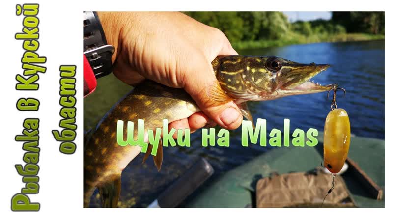Рыболовные будни: карась, щучка и