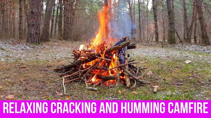 Healing sounds nature. Relaxing sounds campfire. Burning and crackling fire for sleep, study,