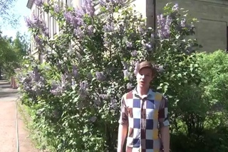 Лицей. Последний звонок 2014