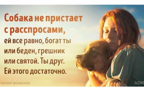 Цитаты про жажду жизни. Что люди чаще всего покупают в интернете. Высказываниямо собаках. Чаще всего в настоящее. Собаки лучше людей.