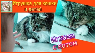Кошка грызет мятную палочку  Дети хотят тоже  Игривая кошка Кусачка
