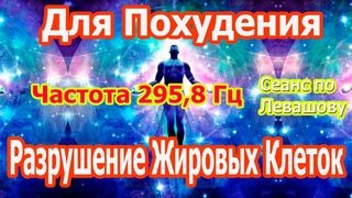 295,8 Гц - Разрушение жировых клеток. Сеанс по Левашову для похудения.