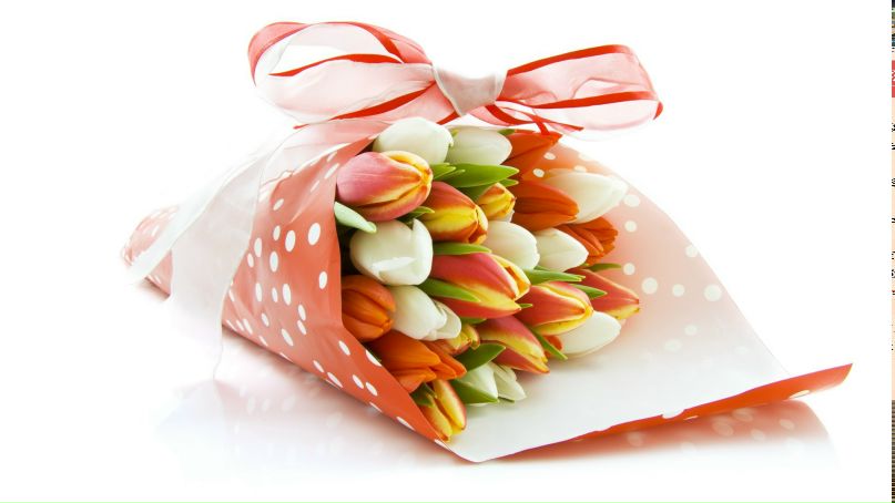 Яна Дедигурова | Гомель