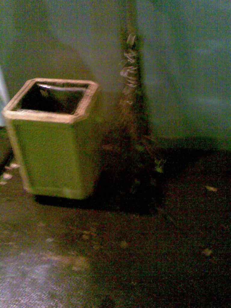 Карина Карпова | Москва