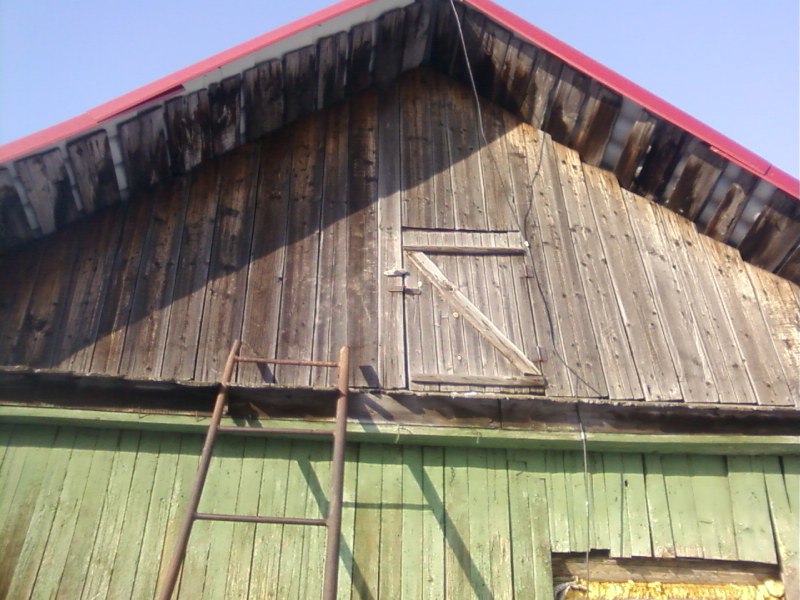 Артур Исупов BuLL | Кемерово