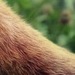 Влада Байрак фотография #11